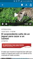 elsalvador.com स्क्रीनशॉट 2