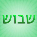 שבוש - ישיבות מכינות ומדרשות