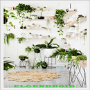 DIY Creative Indoor Houseplant Idea APK