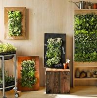 Vertical Garden اسکرین شاٹ 1