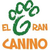 El Gran Canino Bulldog-Frances biểu tượng