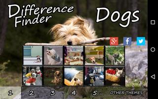 Difference Finder Dogs capture d'écran 2
