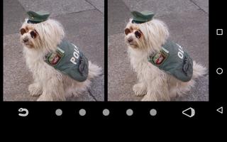 Difference Finder Dogs capture d'écran 3