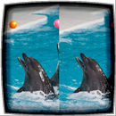 Difference Finder Dolphins APK