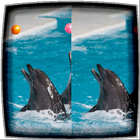 Difference Finder Dolphins আইকন