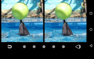 Difference Finder Dolphins capture d'écran 3