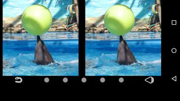 Difference Finder Dolphins capture d'écran 1