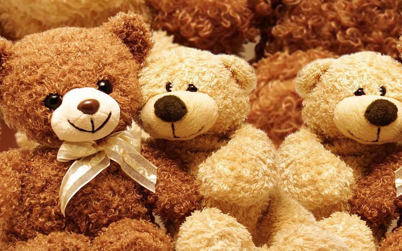 I m teddy bear. Тедди Беар. Плюшевый мишка. Много мишек. День плюшевого мишки.