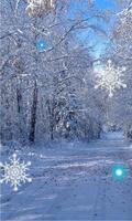 Winter Forest live wallpaper ภาพหน้าจอ 2