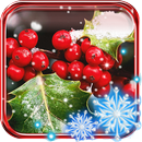 Winter Frozen Red Berries live wallpaper APK