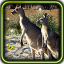Wild Animals World live wallpaper APK