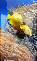 Aquarium Life 截图 2