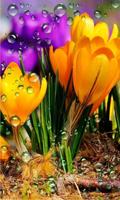 Crocus Free live wallpaper capture d'écran 3