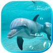Dolphines Beaches live wallpaper