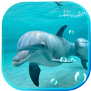 Dolphines Beaches live wallpaper APK