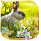 Easter Bunny live wallpaper أيقونة