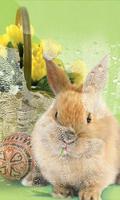 Easter Bunny live wallpaper 截圖 2