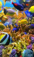 Fishes Sea Tropical live wallpaper syot layar 1