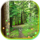 Forest Sounds live wallpaper APK