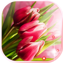 Pink Tulips live wallpaper APK