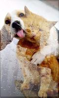 Puppy Fanny live wallpaper imagem de tela 2