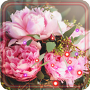 Romantic Wishes live wallpaper APK