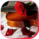 Rose n Violin live wallpaper APK