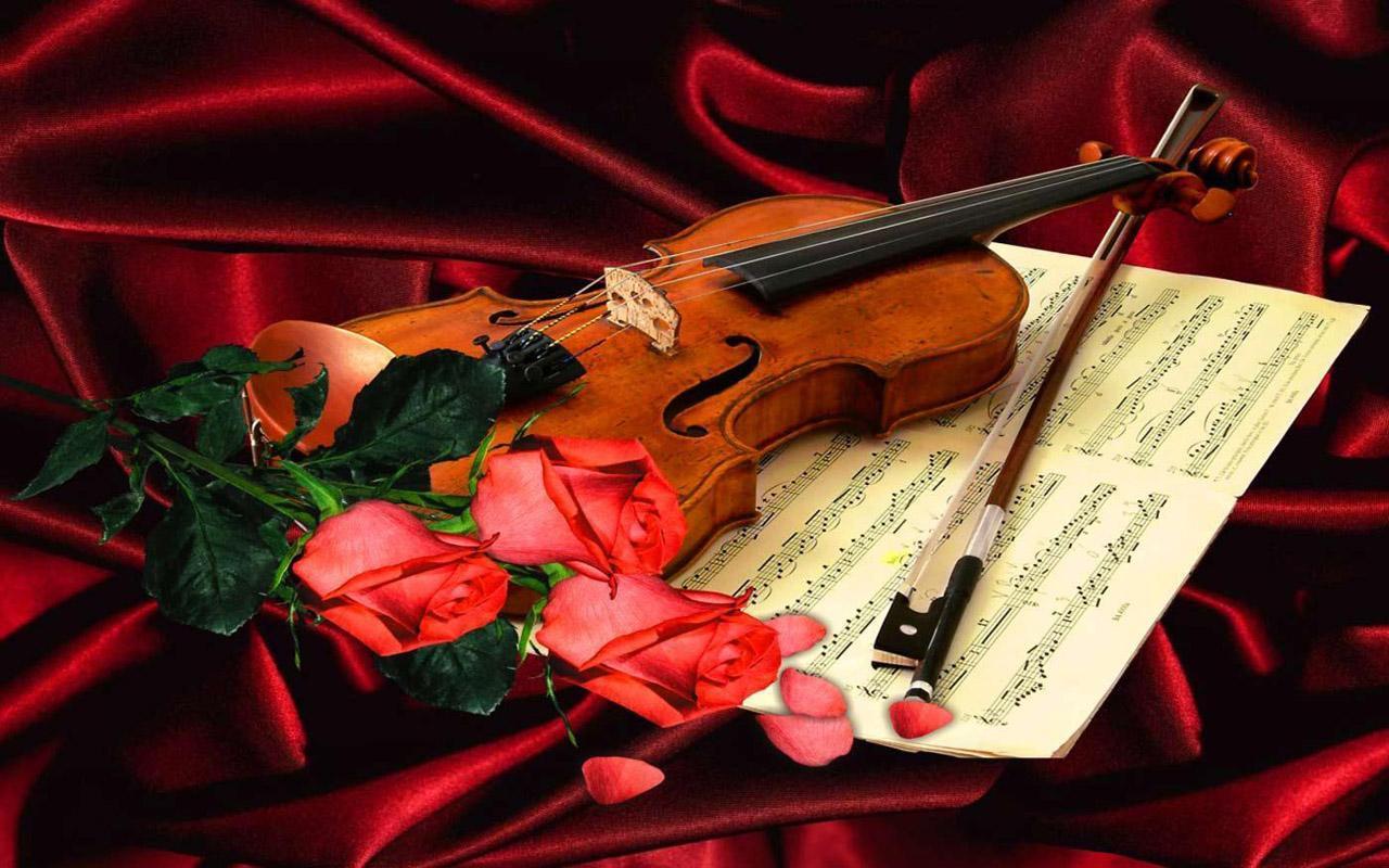Скрипка. Скрипка и цветы. Красивая скрипка.