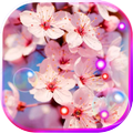 Sakura HD Live Wallpaper