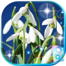 Snowdrops of Forest APK