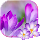 Spring Flowers 2018 Live wallpaper-icoon