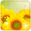 Sunflower Best live wallpaper APK