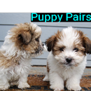 Puppy Pairs APK