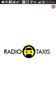 Poster Radio Taxis 1313