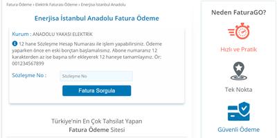 Elektrik Faturası Ödeme captura de pantalla 3