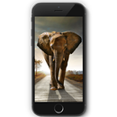 Elephant on Phone Prank APK