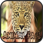 Animal Face Photo Maker-icoon