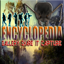 Encyclopedia Of Ant APK