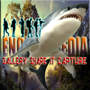 Encyclopedia Of Shark APK