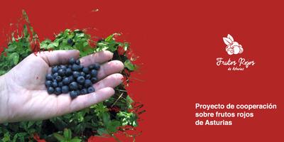 El fruto rojo de Asturias Affiche
