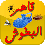 قاهر البخوش kahir bakhoch - moroccan insects