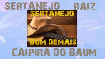 Sertanejo Raiz e Tradicional Ekran Görüntüsü 3