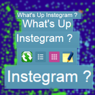 What's Up Instagram? أيقونة