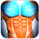 Abs Workout APK