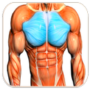 Chest Workout ™ APK