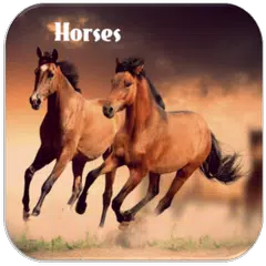 Horses Neighing APK Herunterladen
