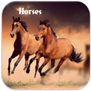 Chevaux hennissement APK