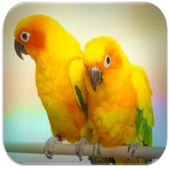 Parrot sounds アプリダウンロード