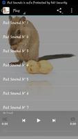 Rat Sounds 포스터