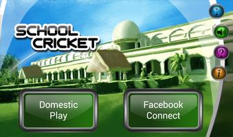 School Cricket Affiche